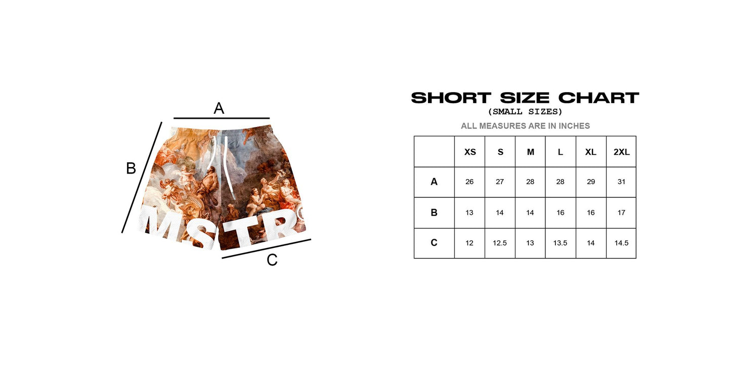 MSTR - STAMP COLLECTION "S6" MESH SHORT (BROWN)